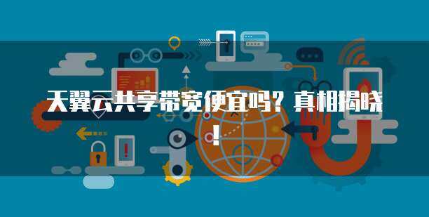 共享带宽价格大揭秘 便宜与否取决于你的需求